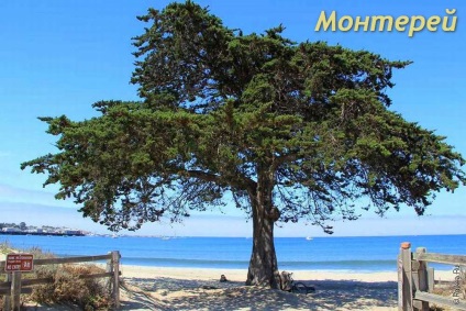Monterey - látnivalók az egykori főváros California