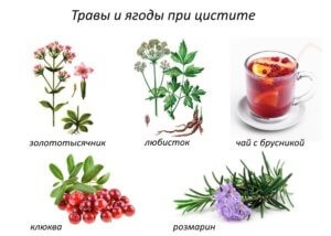 Van gyógymód hólyaggyulladás, antibiotikumok nélkül, népi jogorvoslati (kúra) Van gyógymód hólyaggyulladás, antibiotikumok nélkül, népi jogorvoslati