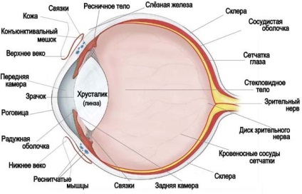 MRI és CT szem, pálya- és látóideg ami azt mutatja,