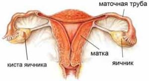 Mely napon a ciklus csinálni kismedencei ultrahang petefészek ciszta ultrahang (kész) Mely napon a ciklus csinálni kismedencei ultrahang petefészek ciszta ultrahanggal