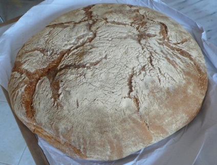Bizonyos fajta olasz kenyér (olasz) Bizonyos fajta olasz kenyér