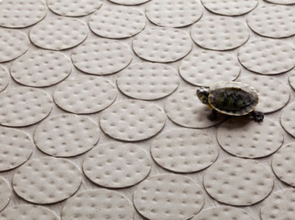 Szokatlan padlók és padlóburkoló képek (emelet) Szokatlan padló szerelési és burkolási Photo