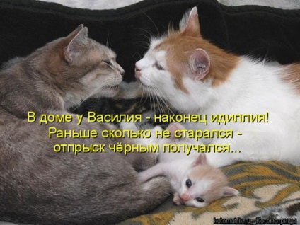 Nem egy nap mosoly nélkül (do) Nem egy nap mosoly nélkül