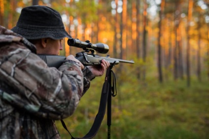 Nornok rókavadászat kutyákkal, a képzés és felszerelésére