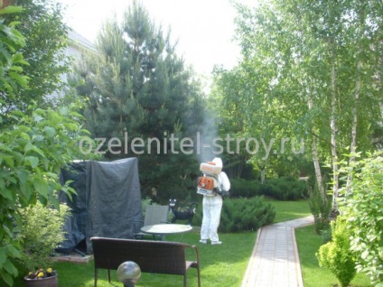 külvárosi területen Processing atkák (feldolgozási külvárosi területen atka) külvárosi területen Processing atkák
