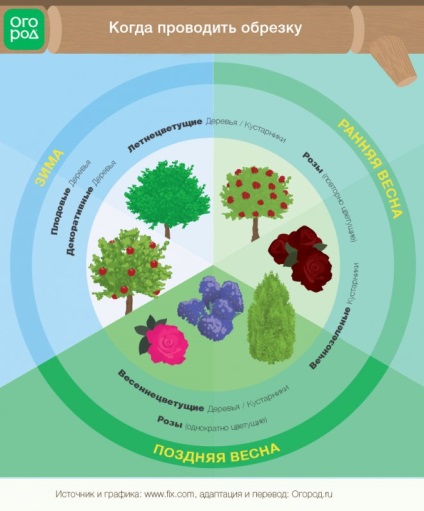 Metszés fák és cserjék - tippek és trükkök a kertben () (amely meg kell vágni) Metszés fák és cserjék - tippek és trükkök a kertben ()