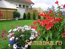 Jellemzők Landscape Design 1 (szakasz) Jellemzők Landscape Design 1
