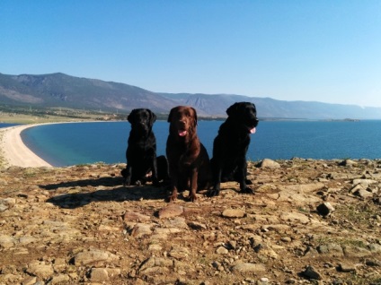 A Bajkál nyaralás kutyákkal - utazni kutyák - 2. oldal 2 - kutya Bajkál régió