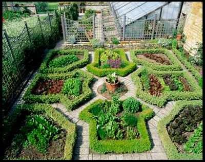 Növényi ágyak létrehozni univerzális növényi ágy ház, kert, konyhakert