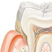 periodontális kezelésre