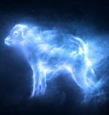 Patronuses és azok jellemzői - Harry Potter lebontani (ez Patronus gyakran) Patronuses és azok jellemzői - Harry Potter lebontani