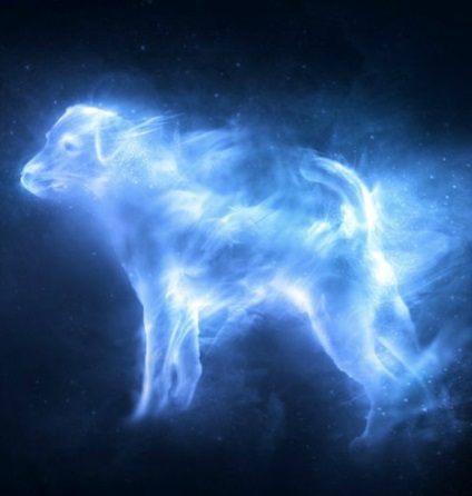 Patronuses és azok jellemzői - Harry Potter lebontani