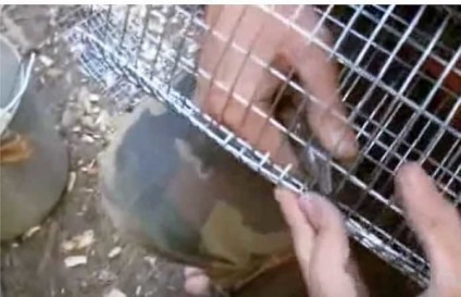 Kemence vonul fürdő a boltban, házi fém, a fűtőelem (store) Camp kályha fürdőkhöz a boltban, egy házi fém, tűzhely