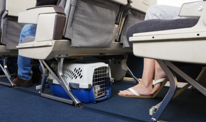 Szállítás állatok Aeroflot (átjáró állatok) Az állatok szállítására Aeroflot