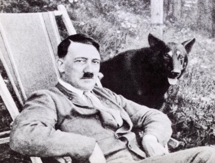 Miért Adolf Hitler nem szerette a zsidókat és a cigányokat