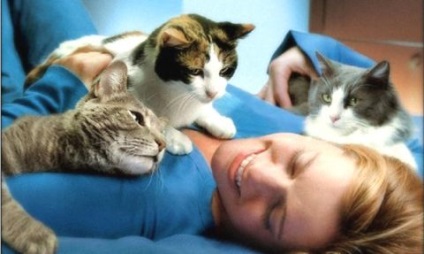 Miért egy macska alszik egy ágyban a lába a mester