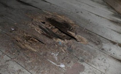 Miért nyikorgó padló a lakásban eszközök javítási nyikorgó parketta kezük (miért nyikorgó emeleti lakás egy módja annak, hogy javítsa nyikorgó parketta kezedben) Miért nyikorgó padló a lakásban eszközök javítási nyikorgó fa padló saját kezűleg