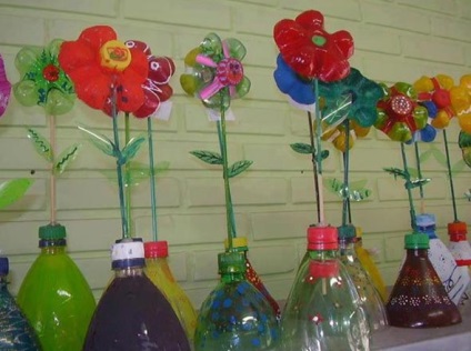 Kézműves kert, udvar, kert, saját kezével műanyag palackok fotókkal