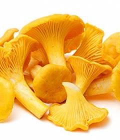 Előnyök és árt a kelkáposzta - 10 ásványi anyag tulajdonságait, ellenjavallatok, és receptek (káposzta) Előnyök és árt a kelkáposzta - 10 ásványi anyag tulajdonságait, ellenjavallatok és receptek