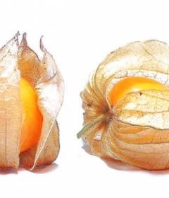 Előnyök és árt a kelkáposzta - 10 ásványi anyag tulajdonságait, ellenjavallatok, és receptek (káposzta) Előnyök és árt a kelkáposzta - 10 ásványi anyag tulajdonságait, ellenjavallatok és receptek