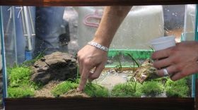 Lépésről lépésre létrehozása egy akvárium