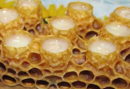 Előnyök és hasznok az adszorbeált méhpempő