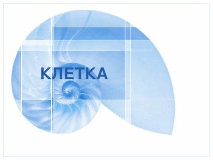 Előadás a leckét (biológia előadás bemutatása a lecke) Előadás a leckét