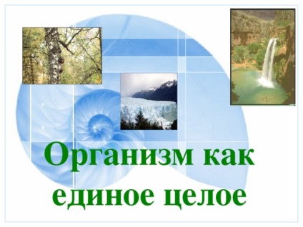 Bemutatása az óra (téma: & quot; test egészének & quot ;.) Előadás a leckét