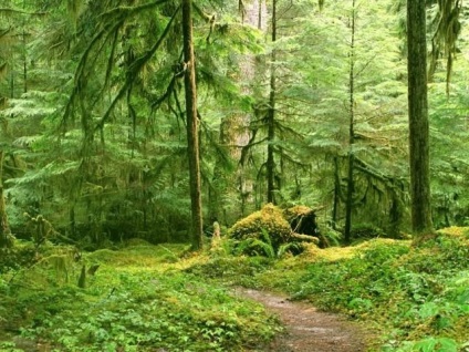 Nature Area természetes komplex