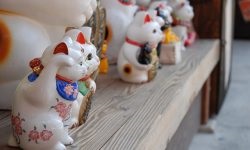 Prisushka az ember szeretni magad otthon (prisushka szeretet erősebb, mint a hazai körülmények között távolság pontosan a saját kedvenc fotók) Prisushka az ember szeretni magad otthon