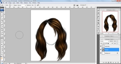 Egyszerű bemutató rajz haját az Adobe Photoshop (rajz) Egyszerű bemutató rajz haját az Adobe Photoshop