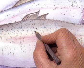 Rajz akvarell hal - lépésről lépésre bemutató, felhívni magukat