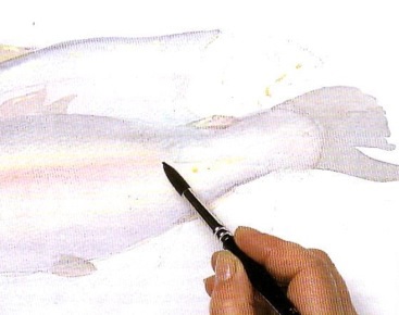 Rajz akvarell hal - lépésről lépésre bemutató, felhívni magukat