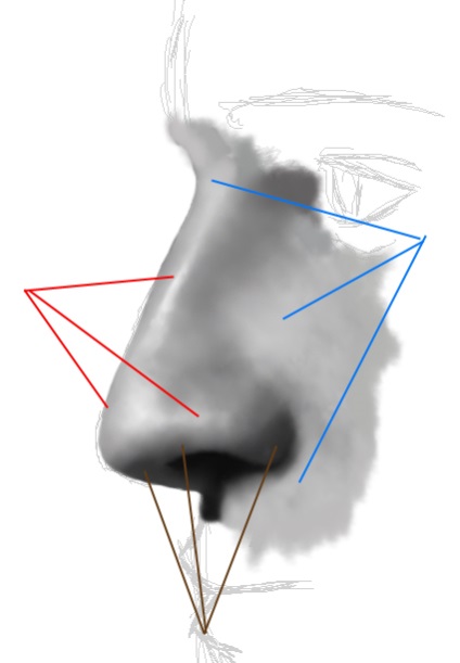 Rajz az emberi orr - tanulságok Adobe Photoshop (3d 2d számítógépes grafika animáció építészet művészeti galéria video oktatóanyagokat tanfolyamok hírek vitatja vas fórum blog 3dmax maya ZBrush Adobe Illustrator photoshop egység turmixgépben vray mental ray renderman) Rajz az emberi orr - Adobe Photoshop leckék