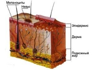 Anyajegy a csípőjén a nők okok és értéke