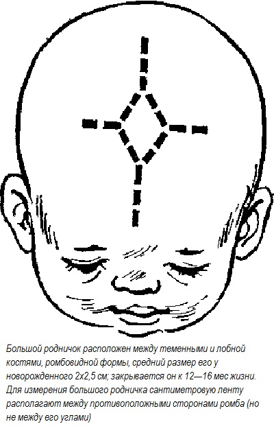 Fontanelle csecsemőknél, ha benőtt - fontanels típusú, normális és kóros!