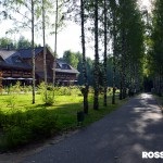 Romanov Les - ekootel közelében Kosztroma