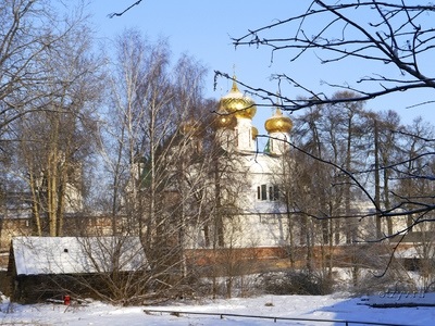 Romanov Les Kosztroma és tompított (elég tágas és kényelmes) Romanov Les Kosztroma és tompított