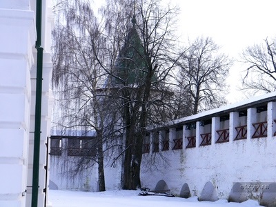 Romanov fa és múló Kostroma (új) Romanov Les Kosztroma és tompított
