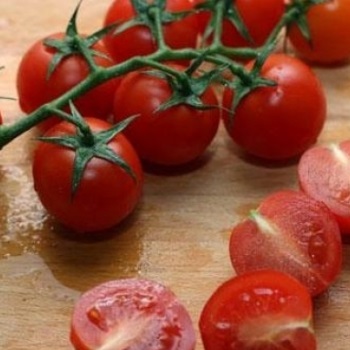 A kukorica saláta és sajt, topsalads (nyers) Saláta kukorica és sajt, topsalads