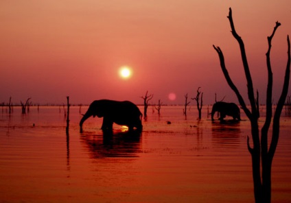 A legnagyobb tó Afrikában - egy listát és fotókat