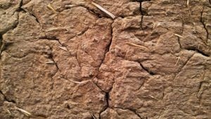 Kőműves clay walls, hogyan kell összehangolni az tapéta