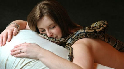 Álom könyv megölni a kígyó egy álom, amit egy álom, hogy megöli a kígyó