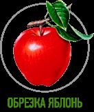 Sovereign - rendszeres ágy (ágy) Sovereign - hagyományos ágy