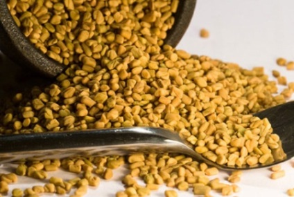 Spice görögszéna (görögszéna) hasznos tulajdonságokkal, alkalmazások, receptek