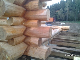 Építése faházak cédrus kézi vágás nagy átmérőjű - House of Cedar