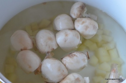 Tészta gombával - otthon recept (forralni főzzük perc) Tészta gombával - otthon recept