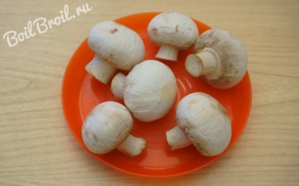Tészta gombával - lépésről lépésre recept fotók (gomba) Tészta gombával - lépésről lépésre recept fotók