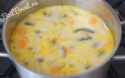 Tészta gombával - lépésről lépésre recept fotók (gomba) Tészta gombával - lépésről lépésre recept fotók