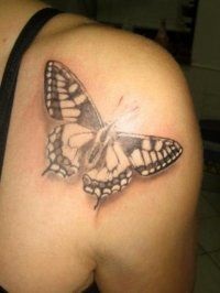 Tattoo pillangó 50 kép, miniatűrök érték (különösen népszerű) Butterfly Tattoo 50 fotók, vázlatok, értéke